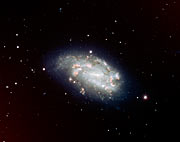 Supernova 2005dh and spiral galaxy NGC 1559