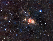 La vue infrarouge de VISTA d'une pépinière stellaire dans l'Unicorne