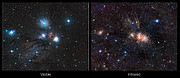 Infrared/visible light comparison of views of a stellar nursery in Monoceros
