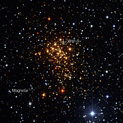 L'amas d'étoiles Westerlund 1 et les positions occupées par le magnétar ainsi que son probable ancien compagnon stellaire