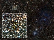 VISTA observe la Nébuleuse du trèfle et révèle l'existence d'étoiles variables cachées (annoté)