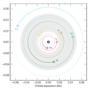 The orbits of the seven planets around TRAPPIST-1