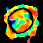 Mapa de velocidades VLTI da superfície de Antares