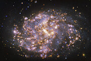 NGC 1087 observerad med MUSE på ESO:s VLT i olika våglängder