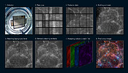 An array of 8 images (in 2 rows) that illustrate the stages of creating an astronomical image. Each image corresponds to one of the steps described in the caption. Image 1 shows the VST detector, an array of 32 dark shiny rectangles embedded on a light and shiny metal platform. The subsequent images illustrate how the raw data, a group of smaller rectangular black and white pictures, is stitched together to form a mosaic. Subsequent images show artefacts being removed and then different colour versions of the image are layered to produce the final image.