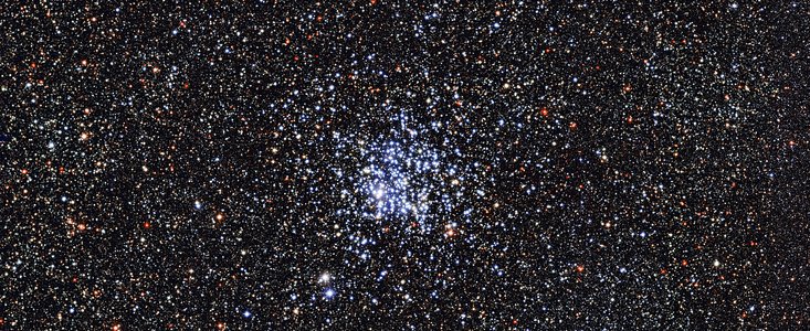 The Wild Duck cluster