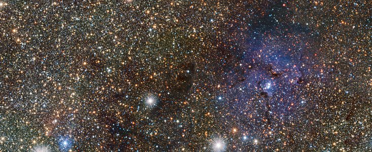 VISTA observe la Nébuleuse du trèfle et révèle l'existence d'étoiles variables masquées