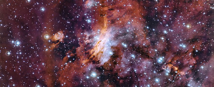 Primo piano della Nebulosa Gambero