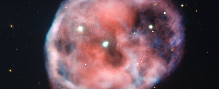 Neues VLT-Bild der ESO vom Totenkopfnebel