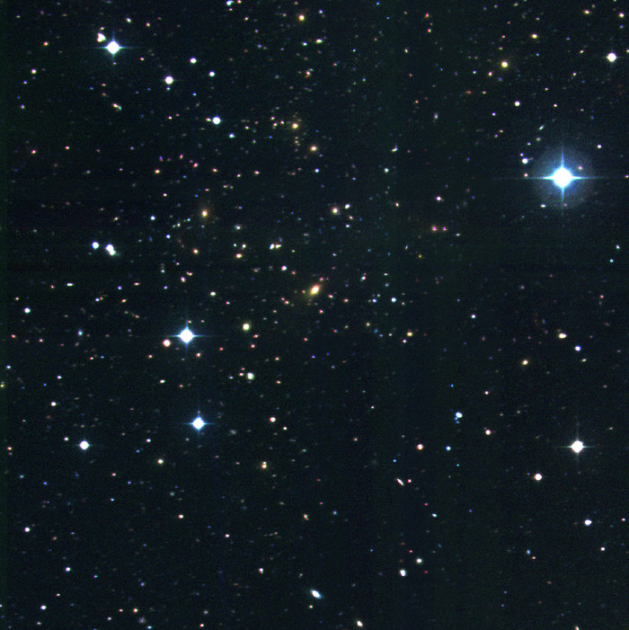 Cluster of galaxies RXCJ1131.9-1955