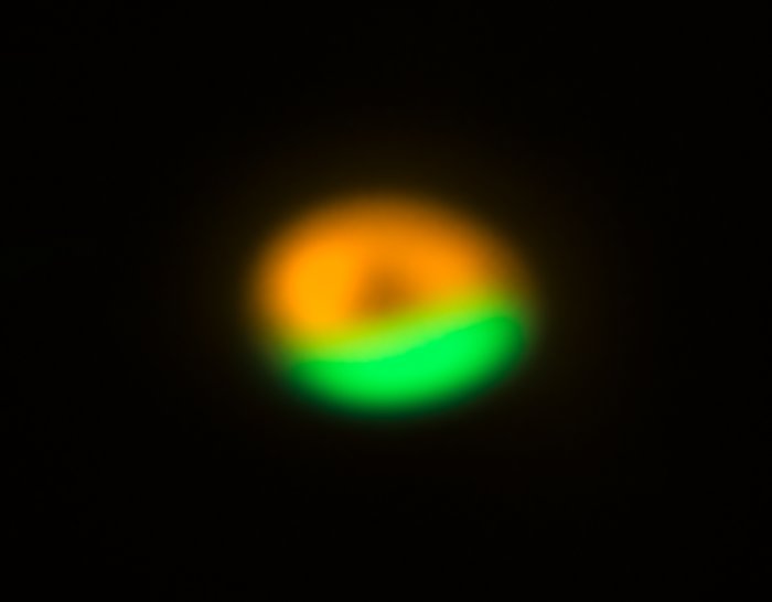 ALMA:n ja VLT:n kuva järjestelmän Oph-IRS 48 ympärillä olevasta komeettatehtaasta