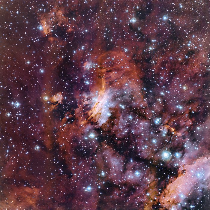 Vista de pormenor da Nebulosa do Camarão