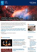 ESO Photo Release eso1340fr-be - Jeunes étoiles en gestation dans la nébuleuse de la Crevette