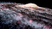 VISTA finds hidden feature of Milky Way
