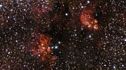 Zoom sulla nebulosa Zampa di Gatto e sulla Nebulosa Aragosta