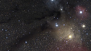 Zoom auf die Sternentstehungsregion Rho Ophiuchi
