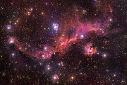 ESOcast 205 Light: la lueur rosée d'une mouette cosmique