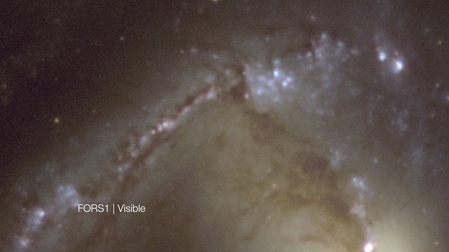 Visible/infrared cross-fade of images of the spectacular barred spiral galaxy NGC 1365