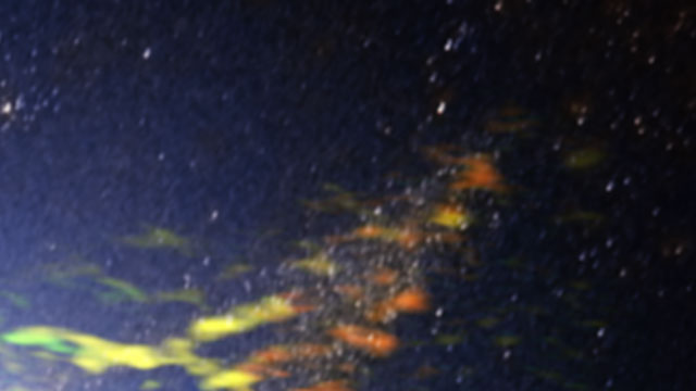 Panning over the radio galaxy Centaurus A, as seen by ALMA