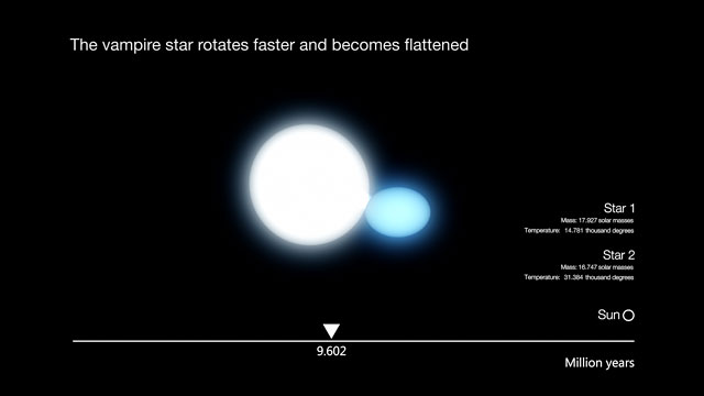 Artist's impression of the evolution of a hot high-mass binary star (annotated version)