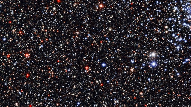 Primo piano dell'ammasso aperto Messier 11