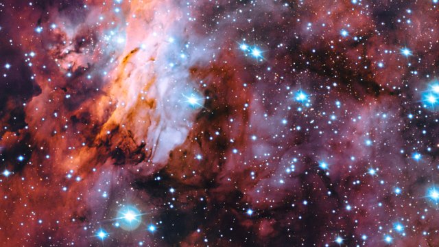 A close-up look at the Prawn Nebula