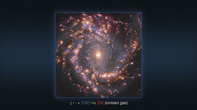 Olika vyer av galaxen NGC 4303 observerad med VLT och ALMA (med text)