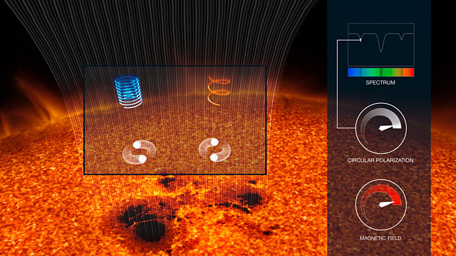 Explicación de como el campo magnético de una estrella afecta la luz emitida